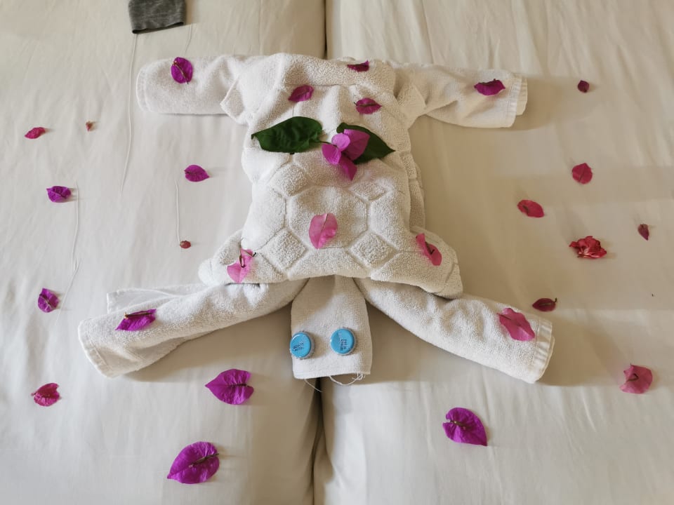 Zimmer Iberostar Waves Mehari Djerba