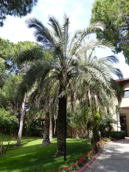 Außenansicht Asteria Family Belek