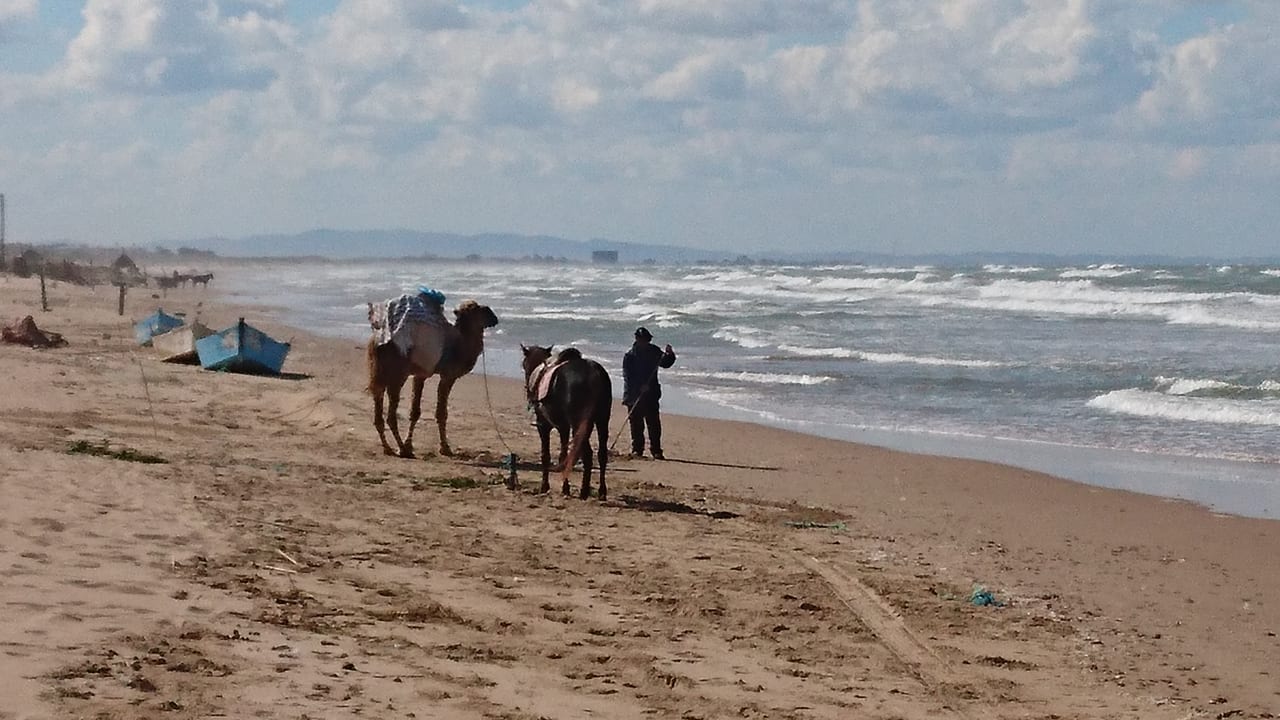 Strand RAMADA PLAZA Tunis