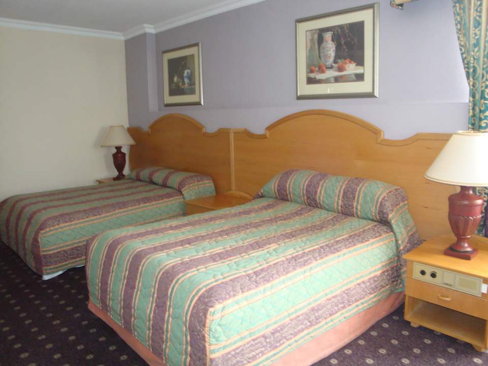 Zwei Kingsizebetten Safari Court Hotel