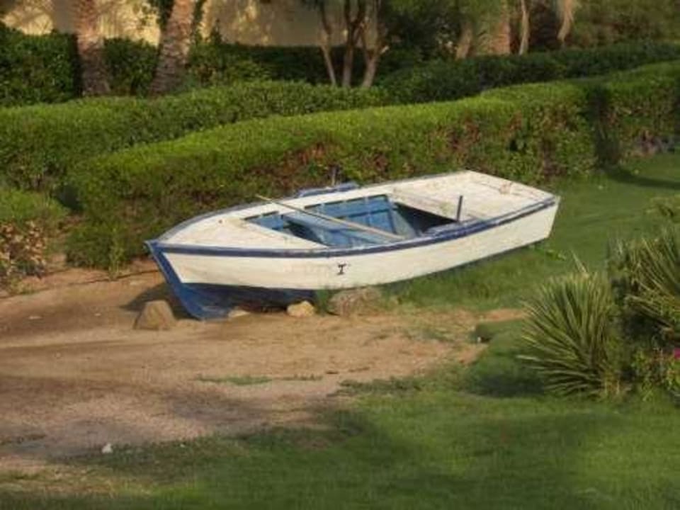 Garten II Steigenberger Coraya Beach - Adults only