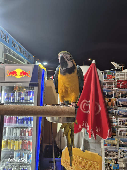 Sonstiges Hotel Sultan of Side