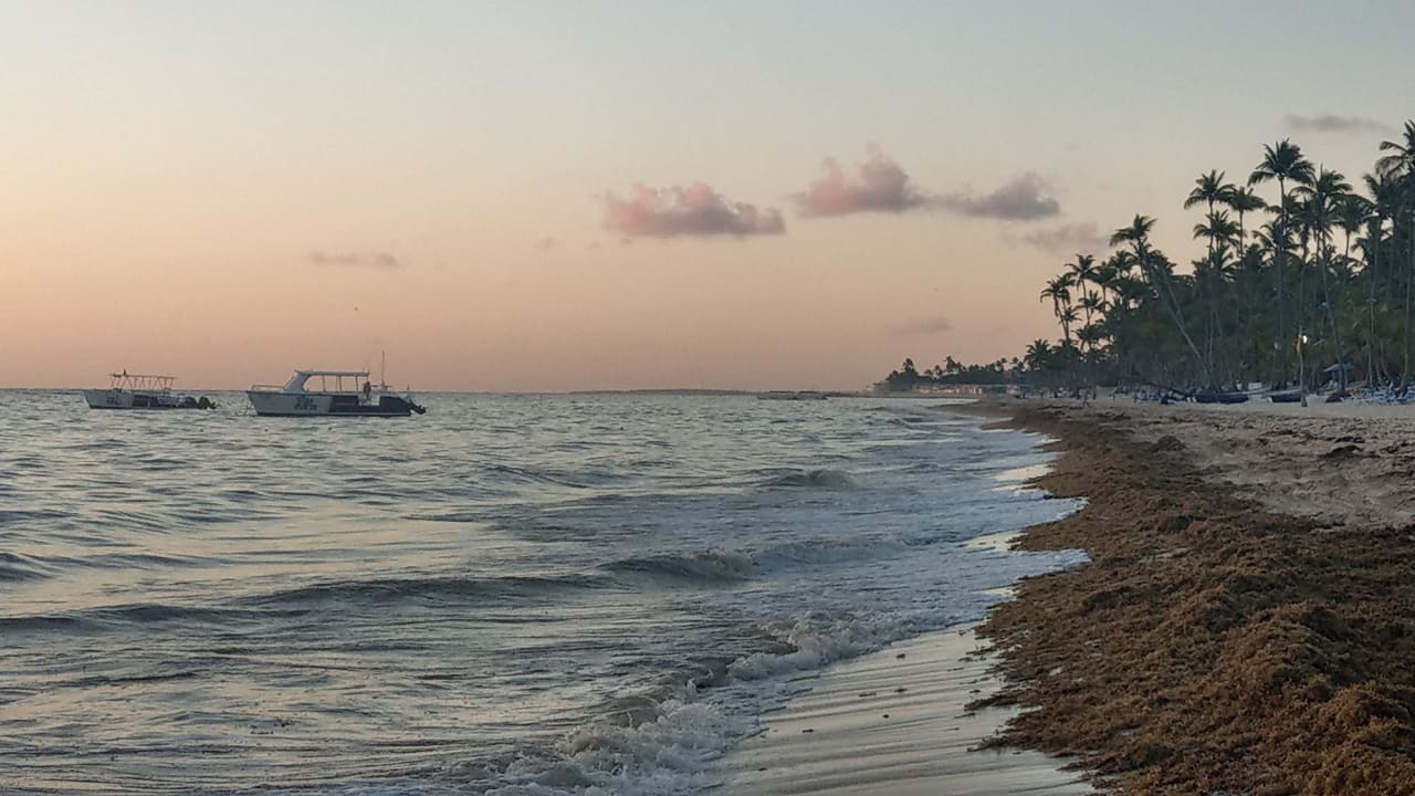 Strand Hotel Riu Bambu