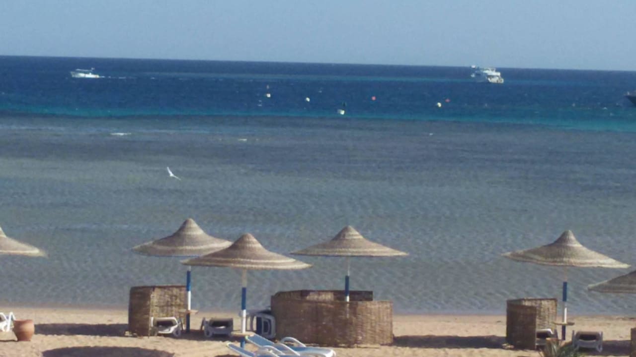 Liegen mit Windschutz und Sonnenschirmen Cleopatra Luxury Resort Makadi Bay