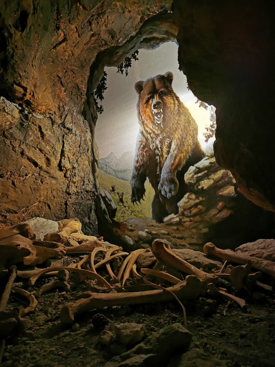 Sonstiges Ferienwohnungen Stöcklhof