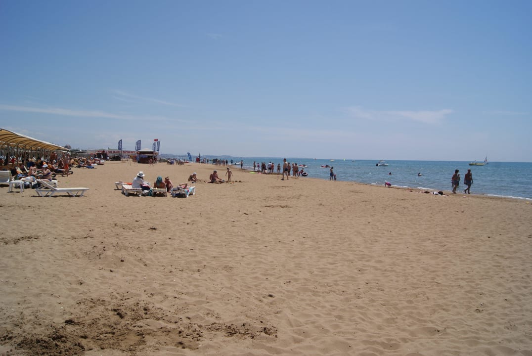 Plaża :) Linda Sunny Beach Hotel & Spa