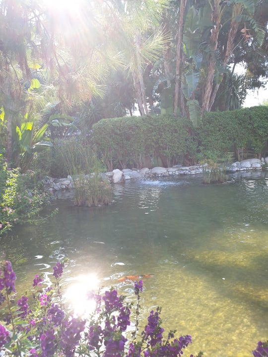 Gartenanlage Ela Excellence Resort Belek