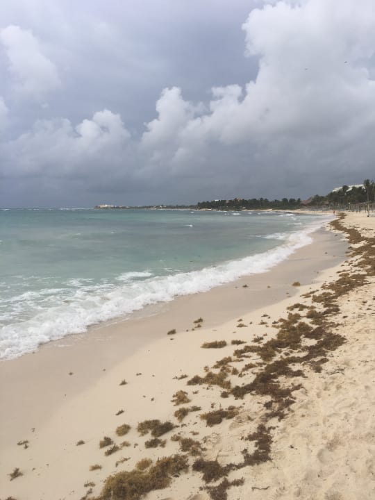 Strand Akumal Bay Beach & Wellness Resort