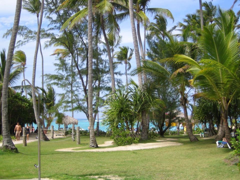 Blick vom Punta Cana Pool zum Strand Grand Palladium Punta Cana Resort & Spa