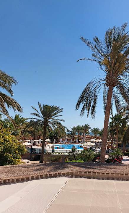 Pool Club Paradisio El Gouna, Red Sea