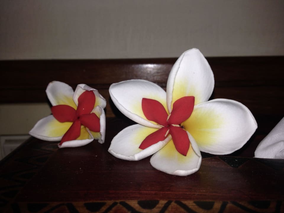 Deko Puri Bagus Lovina