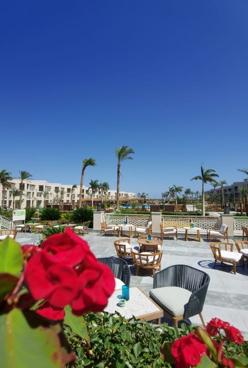 Gastro Steigenberger Resort Ras Soma