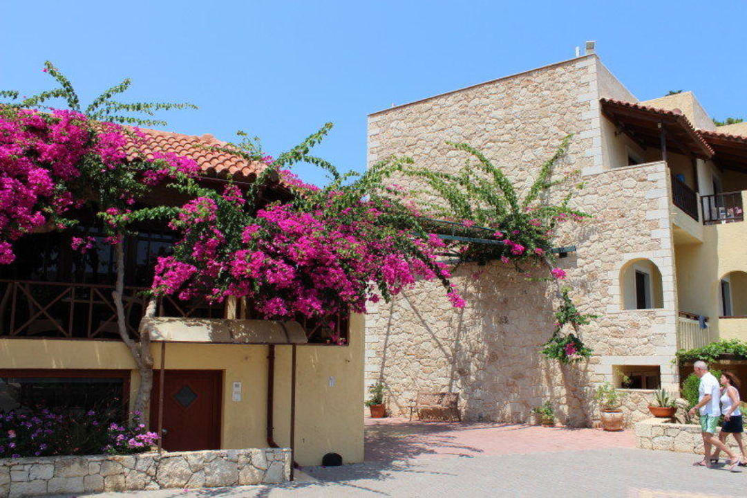 Links das Hauptrestaurant und dazu Blütenpracht  Cactus Beach