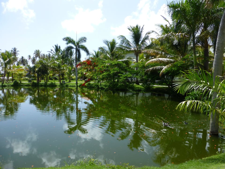 Teich auf dem Weg zum Strand Villas Bavaro Resort & Spa