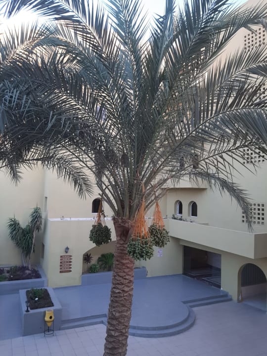Gartenanlage Palm Beach Resort