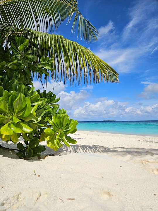 Strand Adaaran Select Meedhupparu Island Resort - Premium All Inclusive