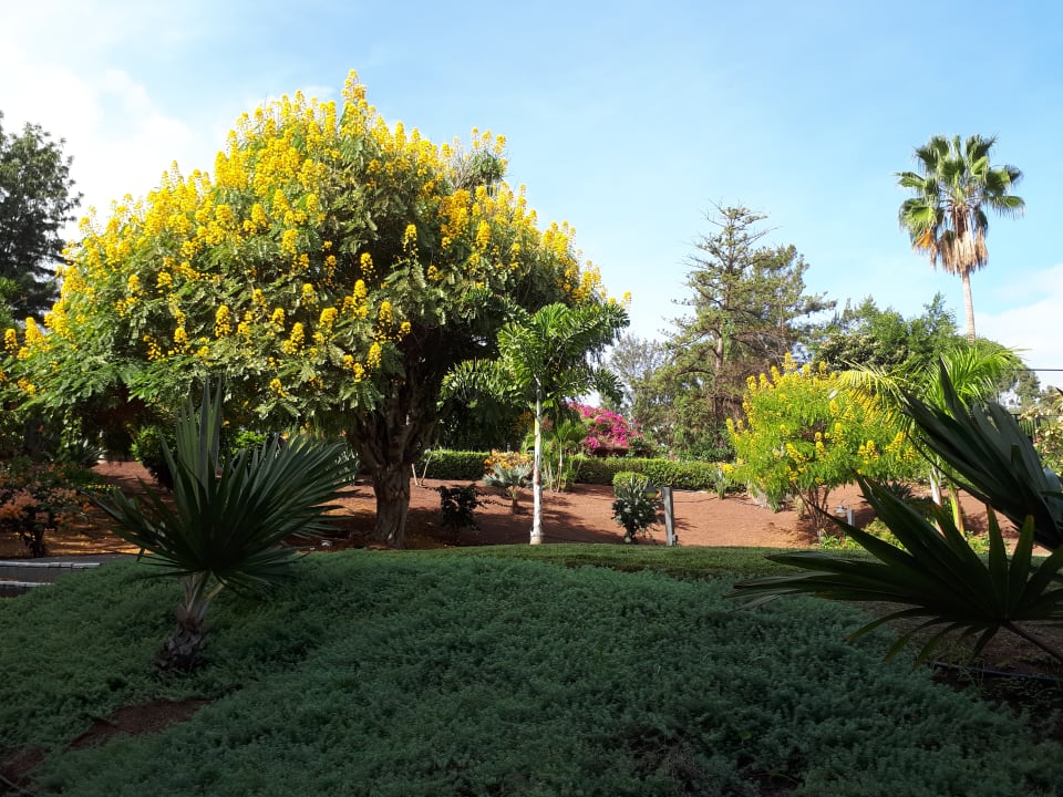 Gartenanlage TRH Taoro Garden