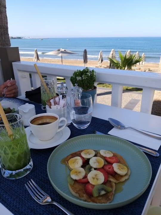 Gastro Acanthus Cennet Barut Collection