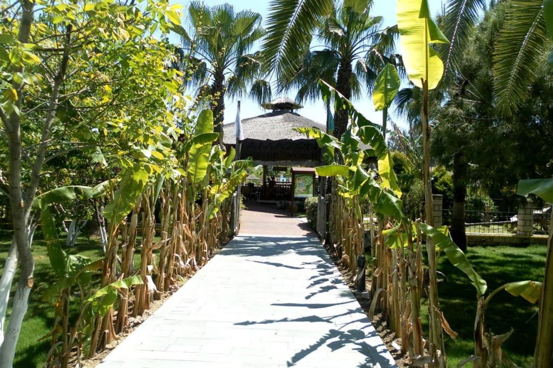 Eingang Amazon Club Grand Side