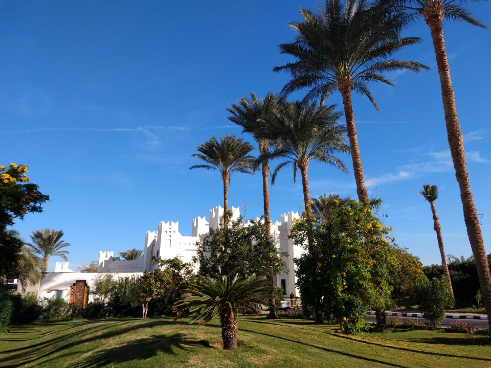 Gartenanlage Sharm Plaza