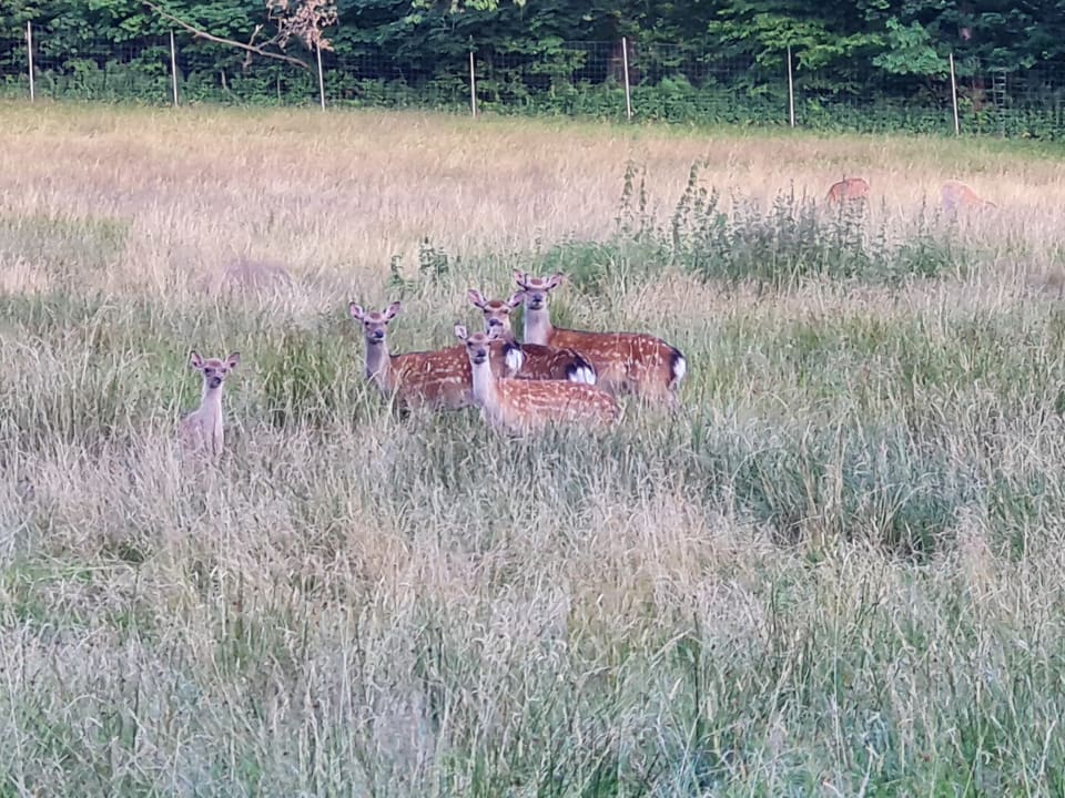 Gartenanlage Hotel Gut Schmelmerhof