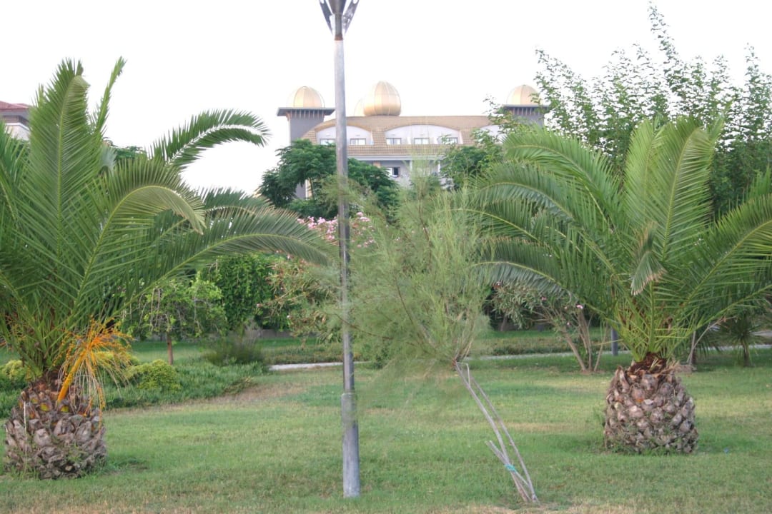 Blick vom Strand auf das Hotel Aydinbey Kings Palace & Spa