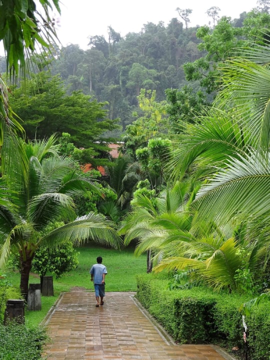 Alles schön grün Khaolak Laguna Resort