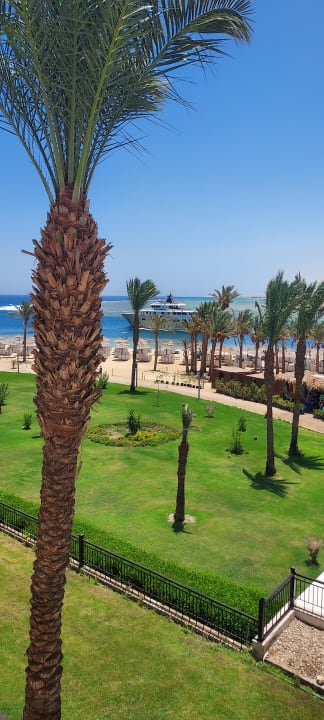 Ausblick Pickalbatros Palace Hotel-Port Ghalib