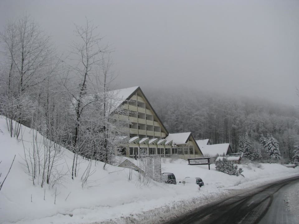 Hotel im Winter-Nebel Best Western Hotel Rhön Garden