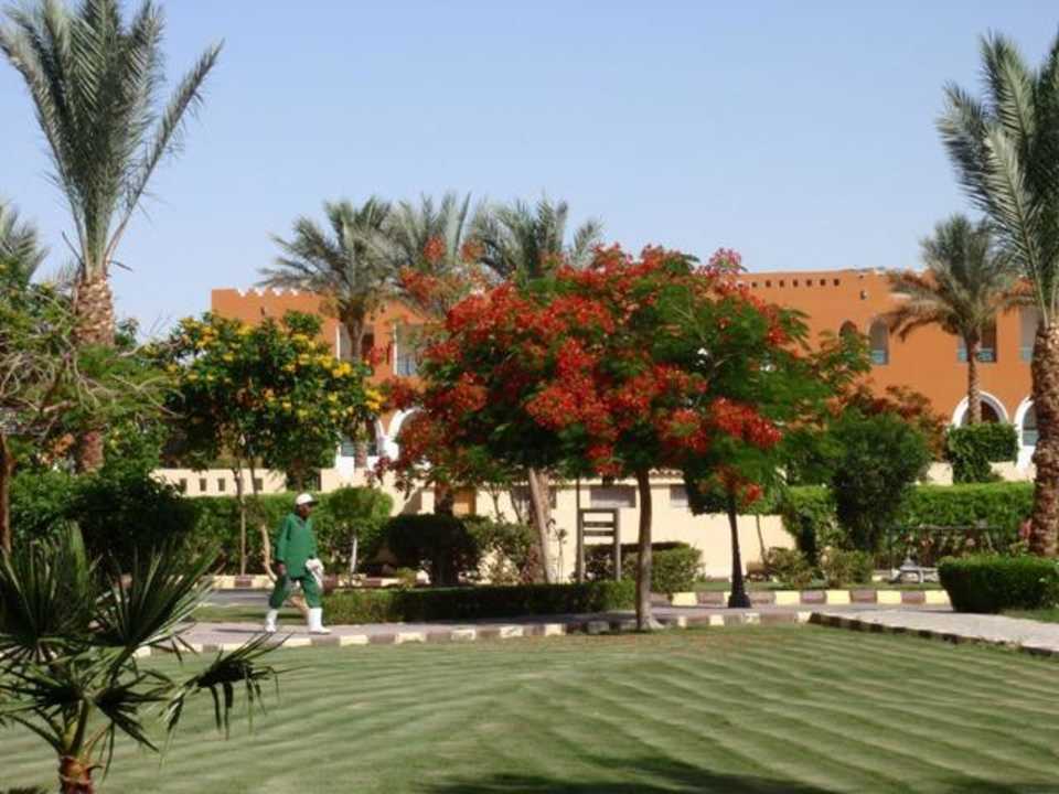 Gartenanlage Pickalbatros Dana Beach Resort - Hurghada