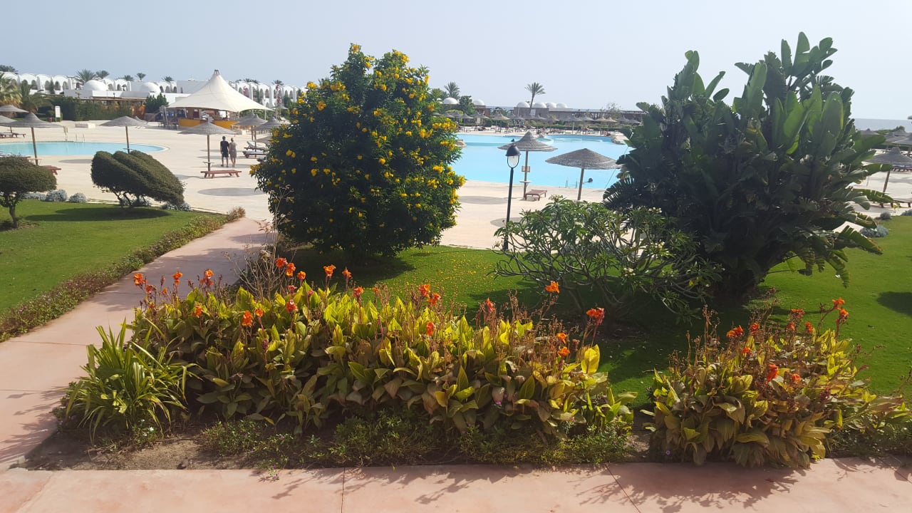 Pool Hotel Gorgonia Beach Resort