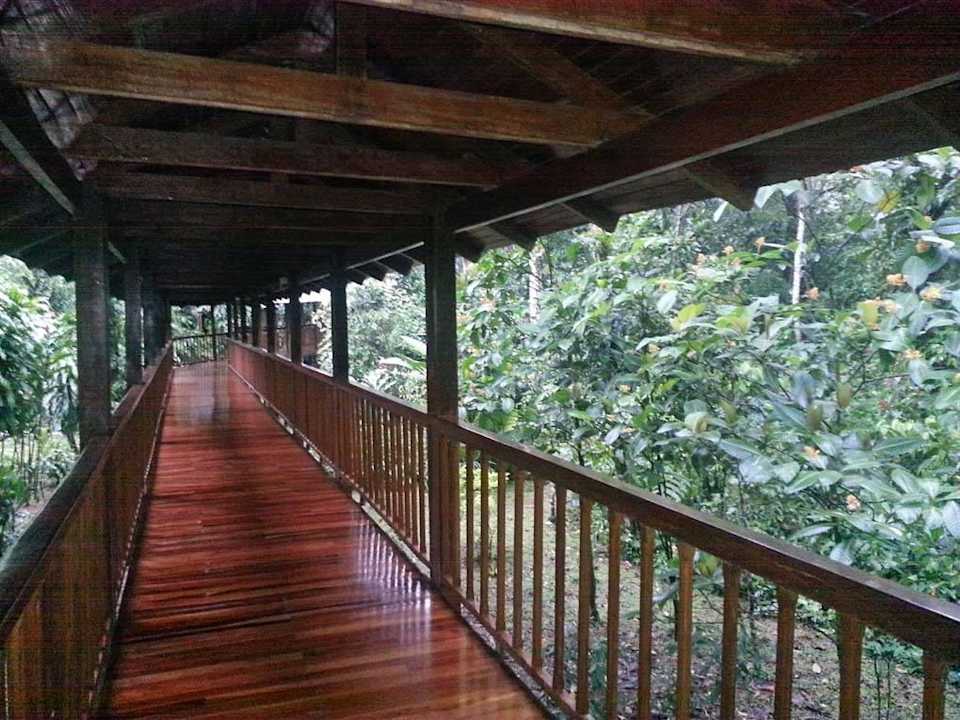 Wege im Garten Hotel Selva Verde Lodge & Rainforest Reserve