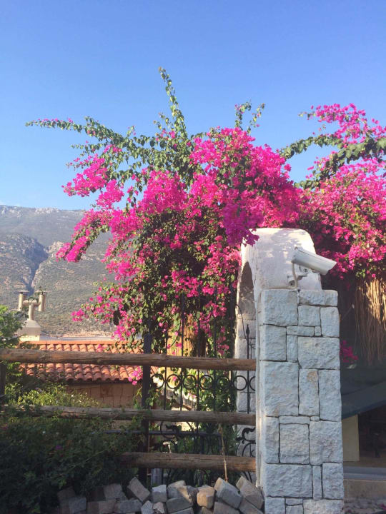 Gartenanlage Hotel Lukka