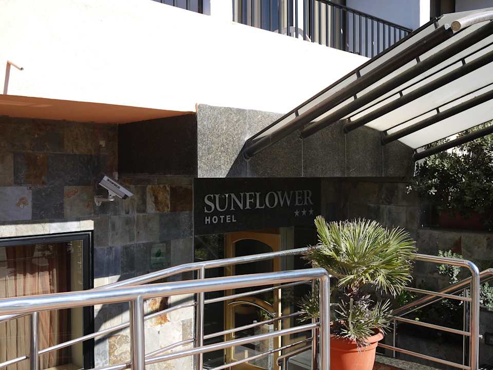 Eingang 2 Hotel Sunflower