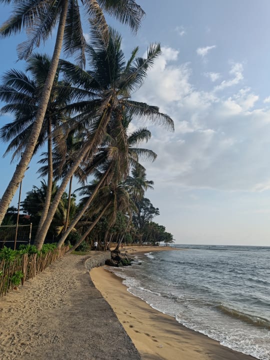 Strand Earl’s Reef Beruwala