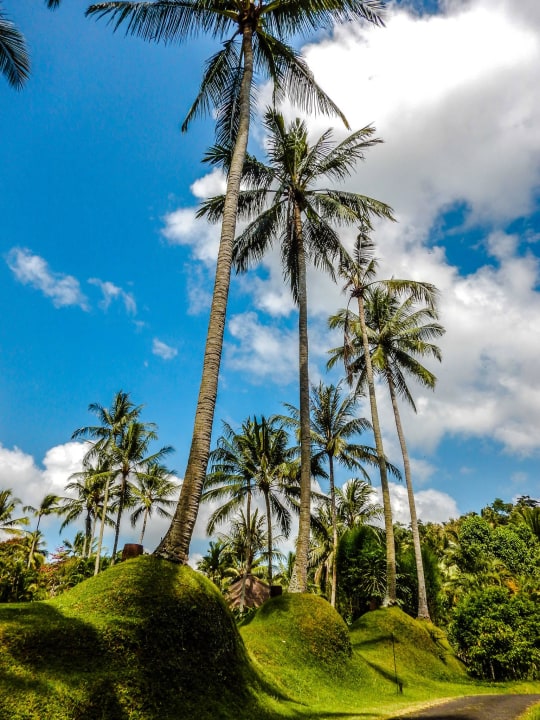 Gartenanlage Four Seasons Resort Bali at Sayan
