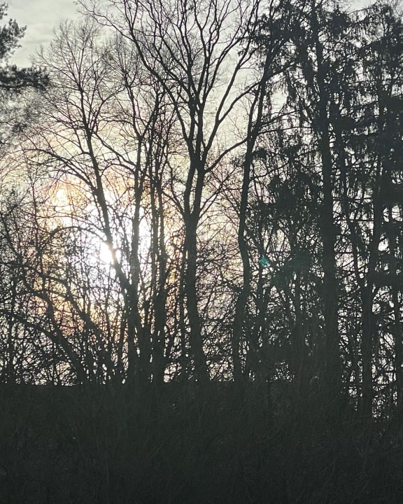 Ausblick Heilthermen Resort Bad Waltersdorf