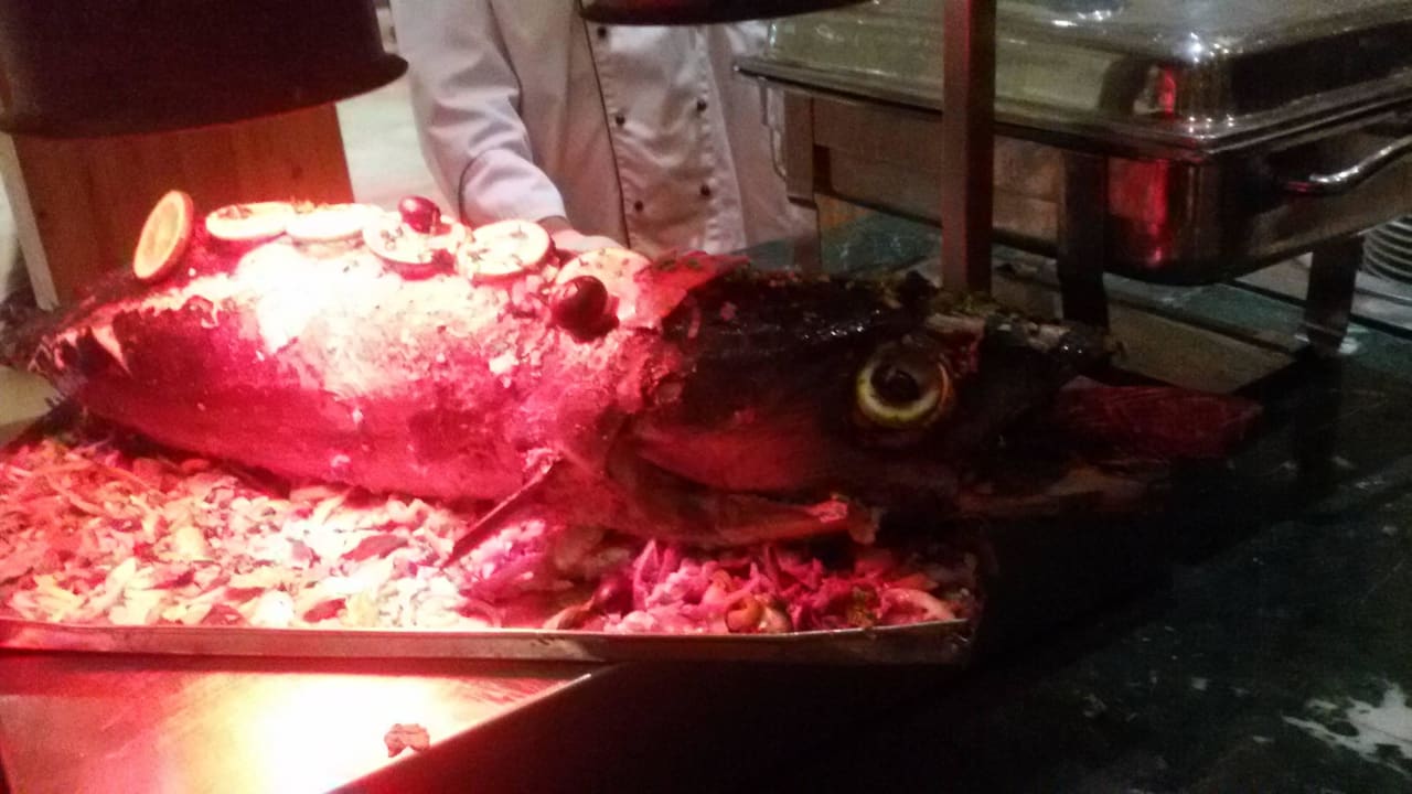 Grosser Thunfisch Prima Life Makadi Resort