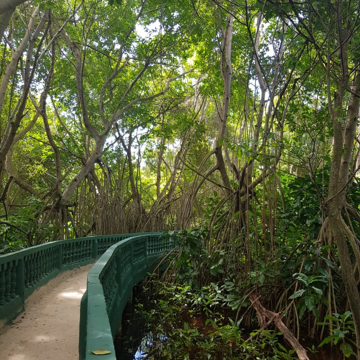 Gartenanlage Grand Bávaro Princess