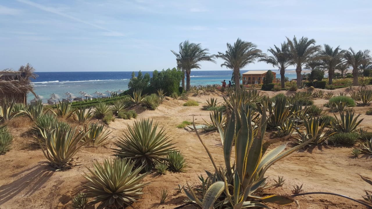 Ausblick Fantazia Resort Marsa Alam