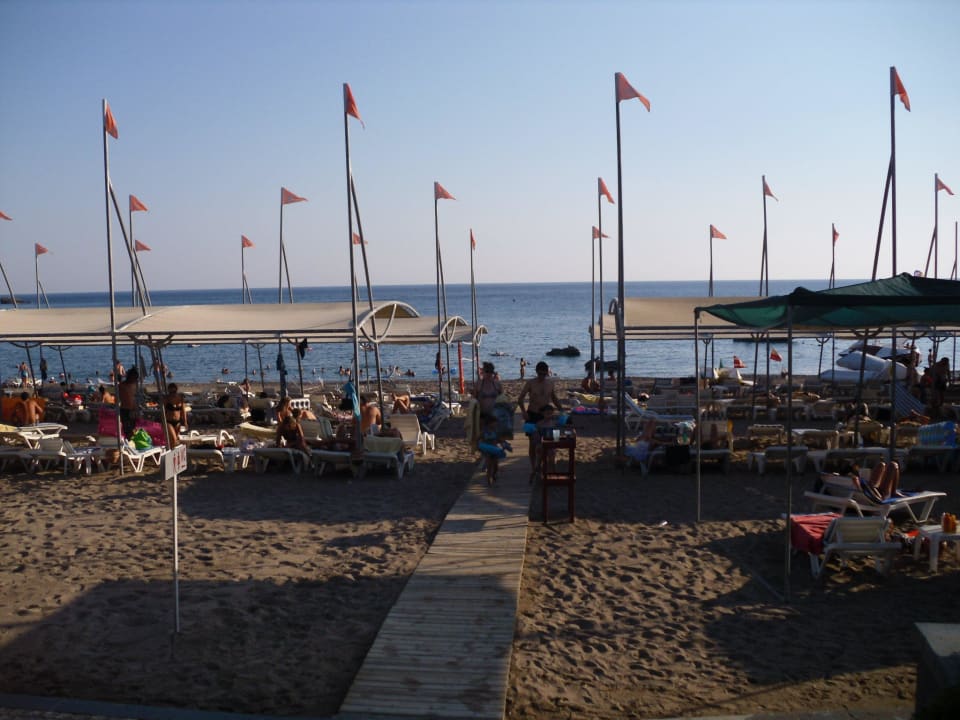 Strand Arycanda Kirman Premium