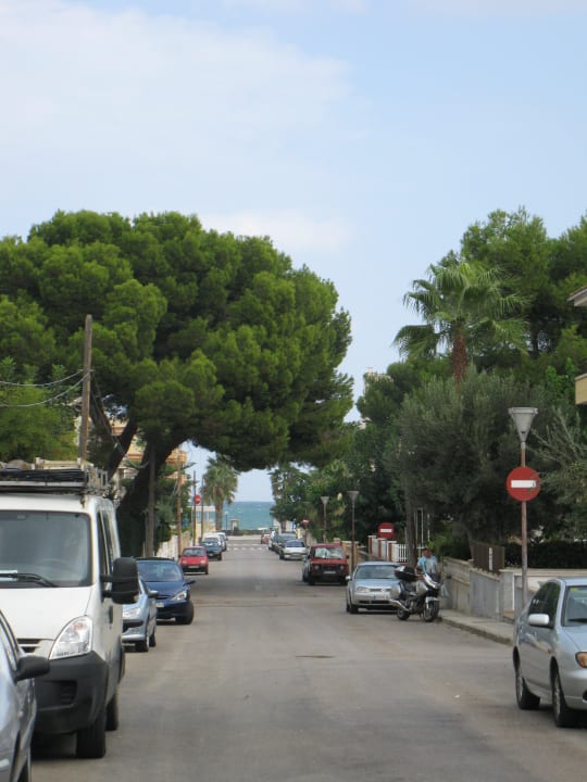 Der Weg zum Strand Zafiro Mallorca