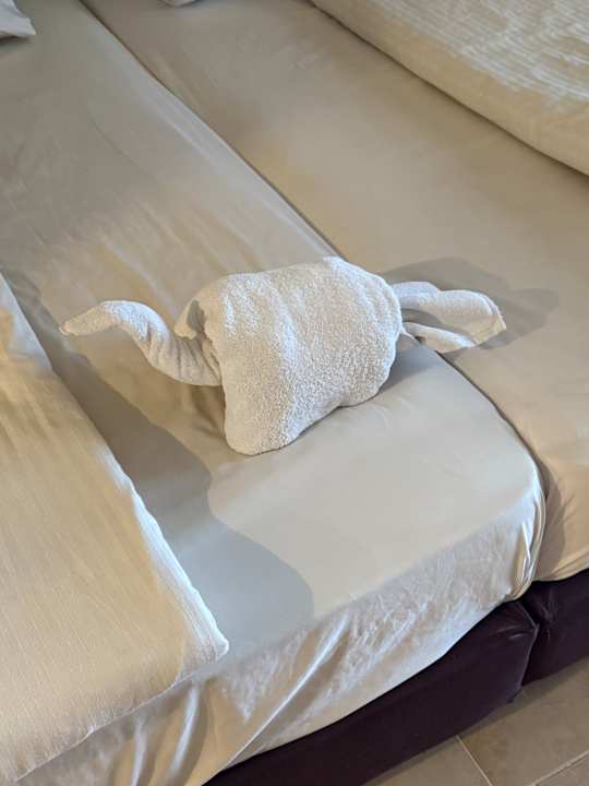 Zimmer Coral Sun Beach
