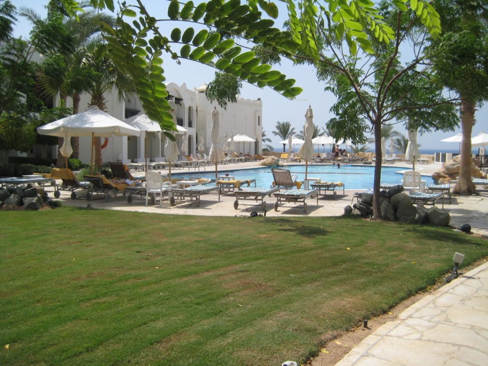 Aussicht vom Zimmer - Kidneypool Sharm Resort