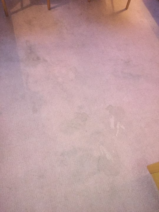 Zimmer Hotel Fränkischer Hof