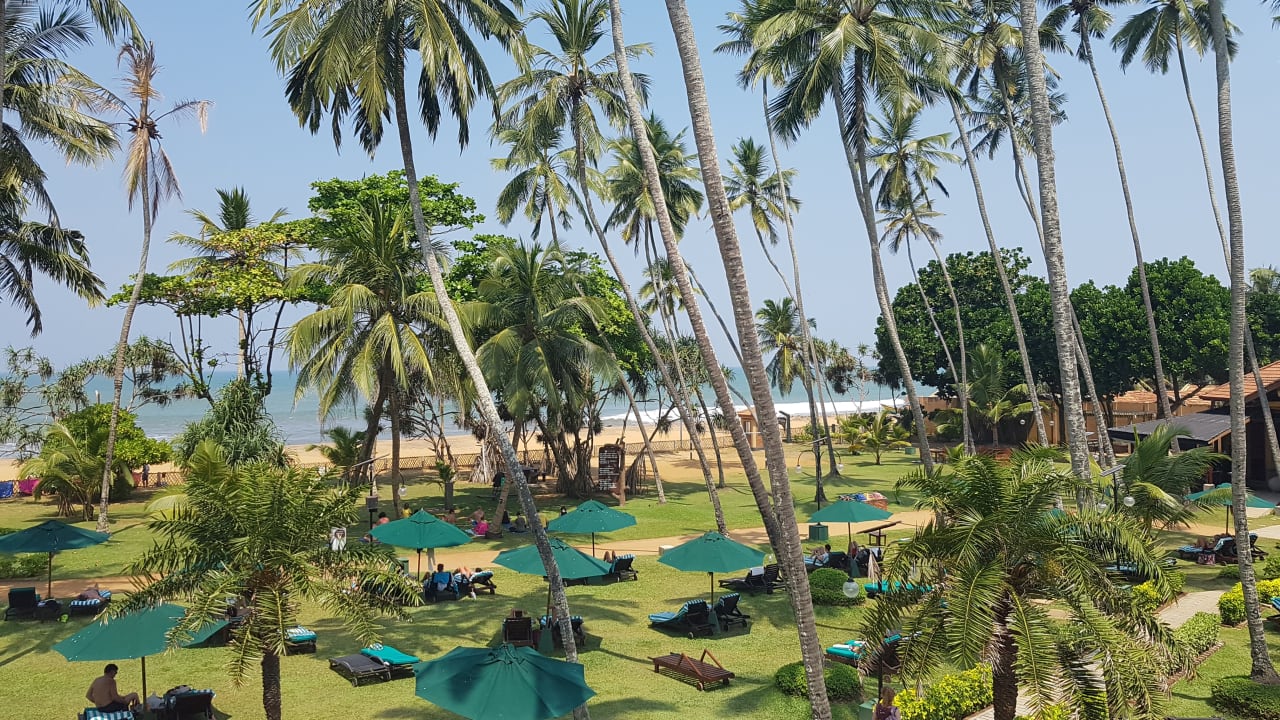 Gartenanlage Royal Palms Beach Hotel