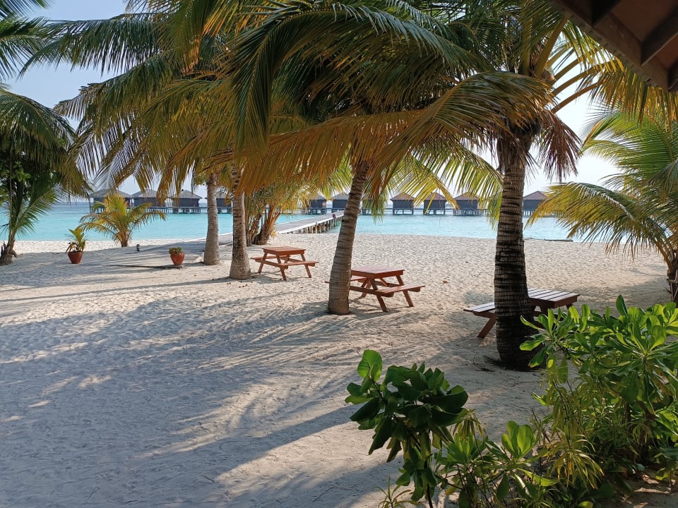 Ausblick Filitheyo Island Resort