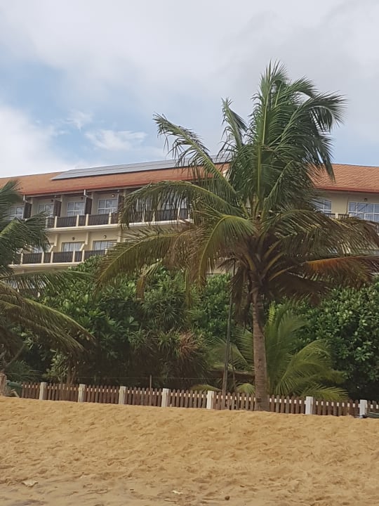 Gartenanlage Turyaa Kalutara