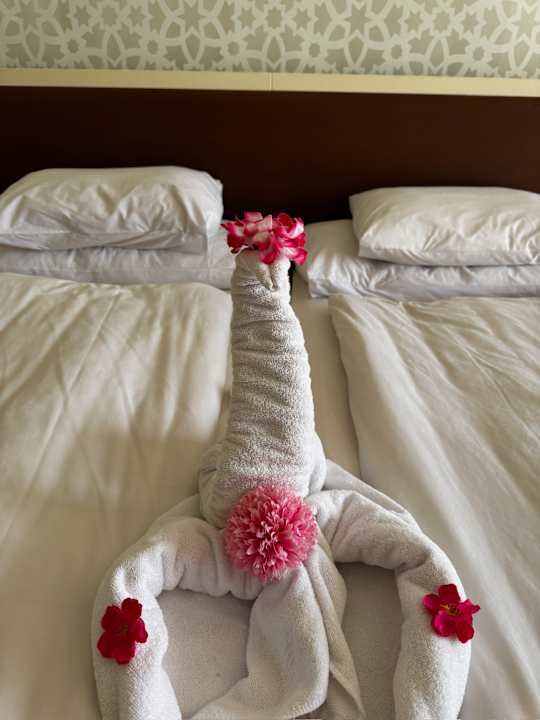 Zimmer ROBINSON SOMA BAY