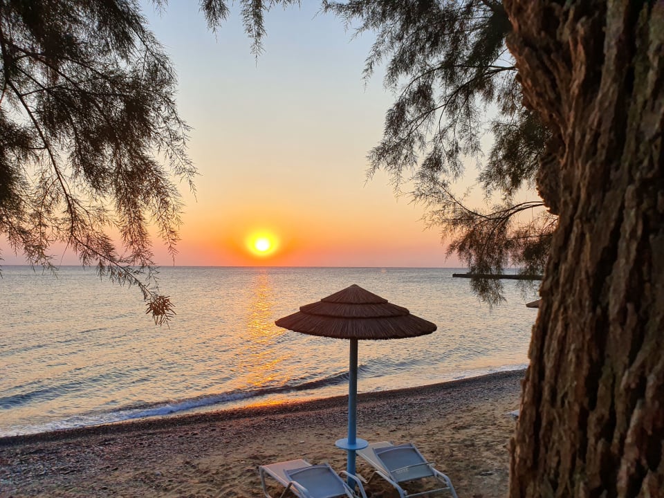 Ausblick TUI BLUE Oceanis Beach and Spa Resort